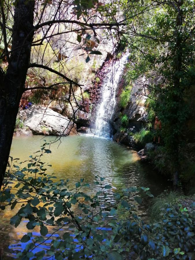 Moradia Albertina Sardoal Εξωτερικό φωτογραφία